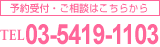 �\���t�E�����k�͂����炩��TEL 03-5419-1103